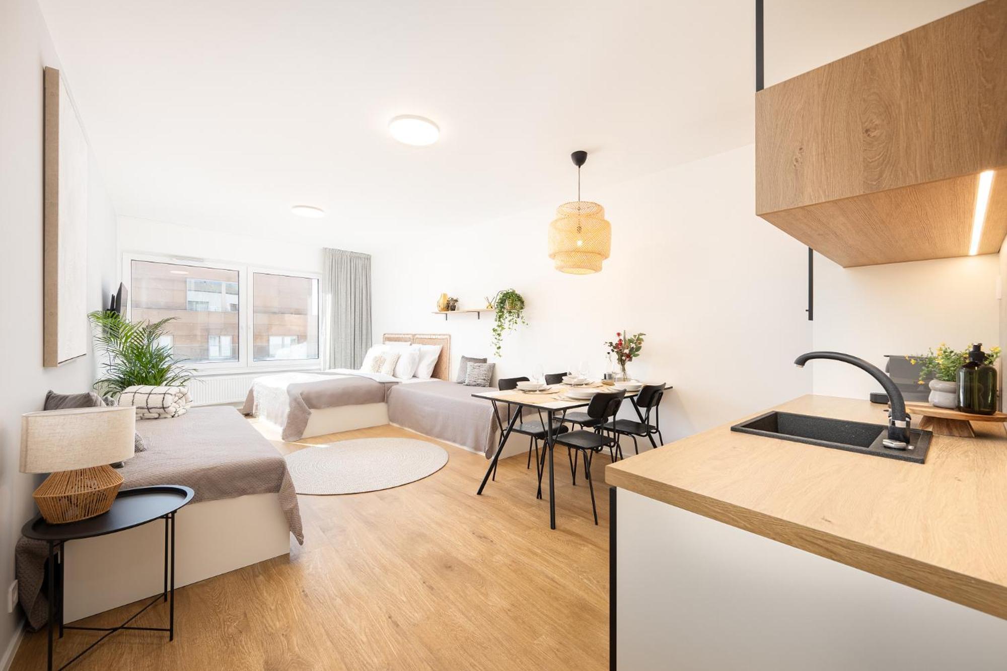 Apartment Internesto Urban Brno